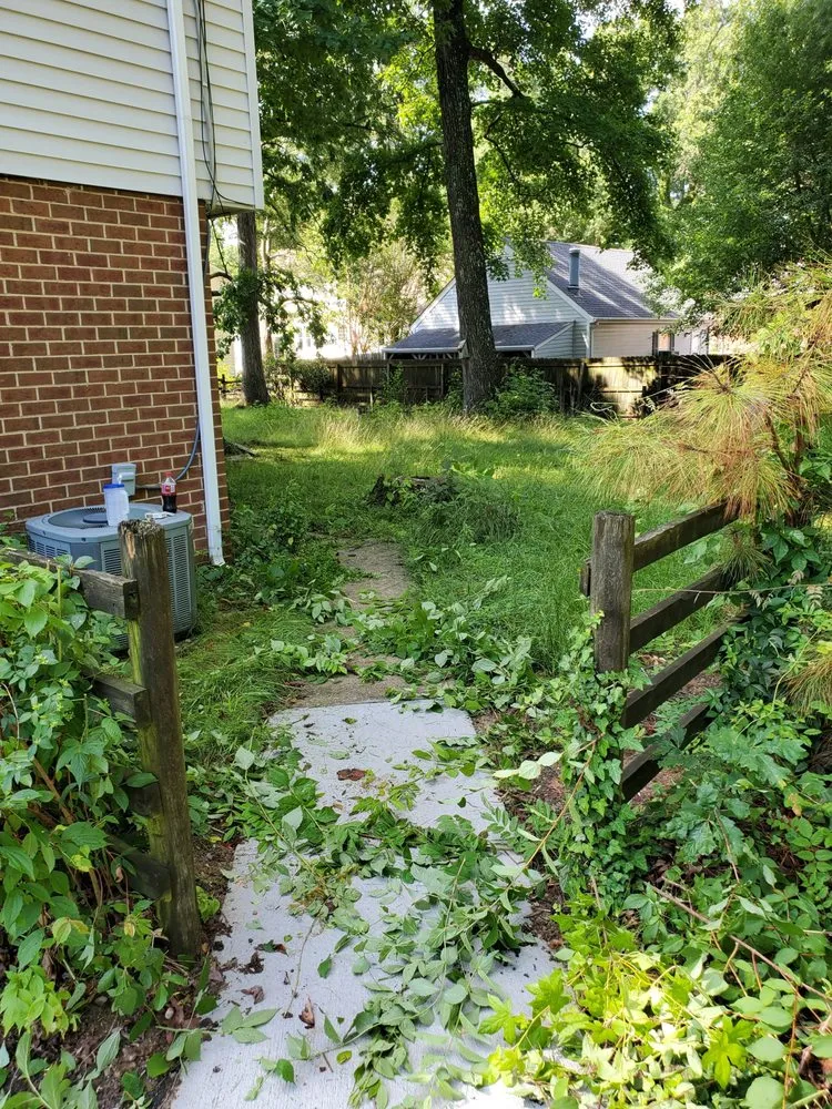 Professional landscaping services in Lynchburg, VA - MD Lawn Care and Small Home Repair