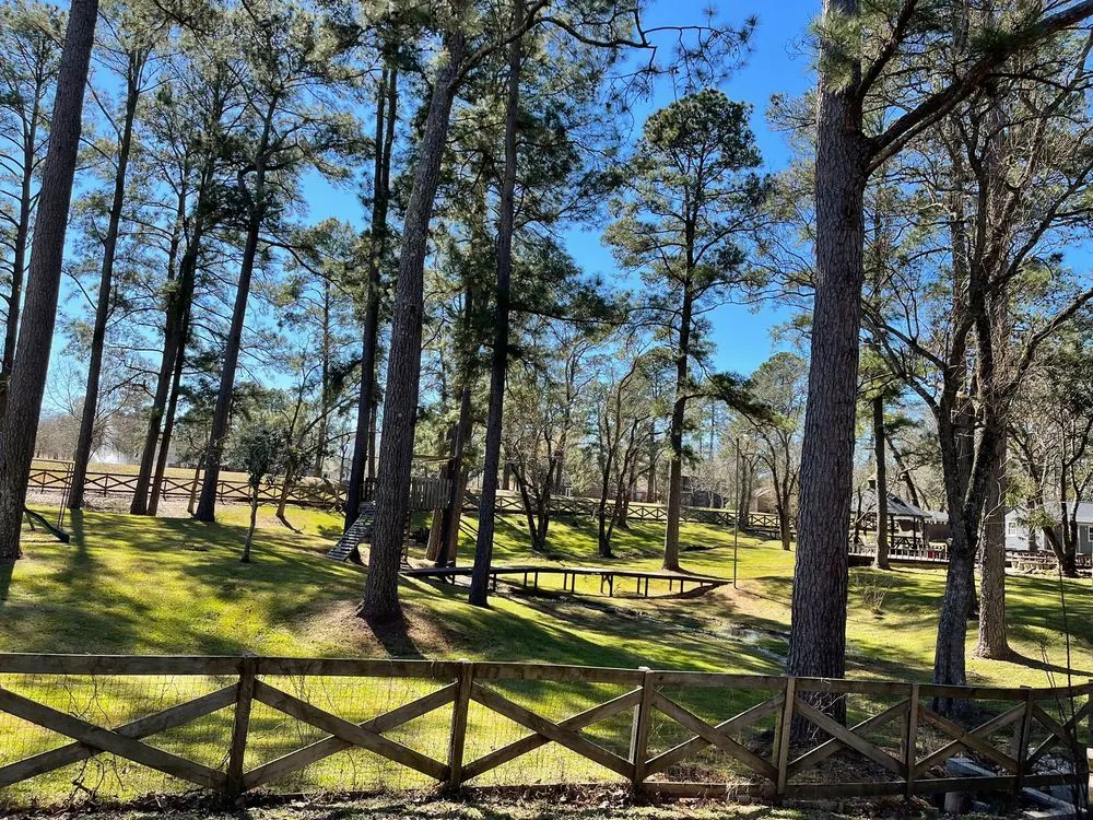 Expert yard cleanup service for year-round maintenance across Houston, TX - MD Lawn Care Services