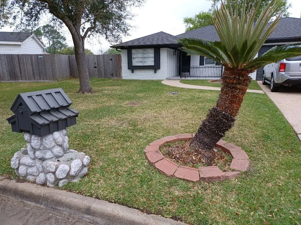 Professional landscape installation in Houston, TX by MD Lawn Care Services