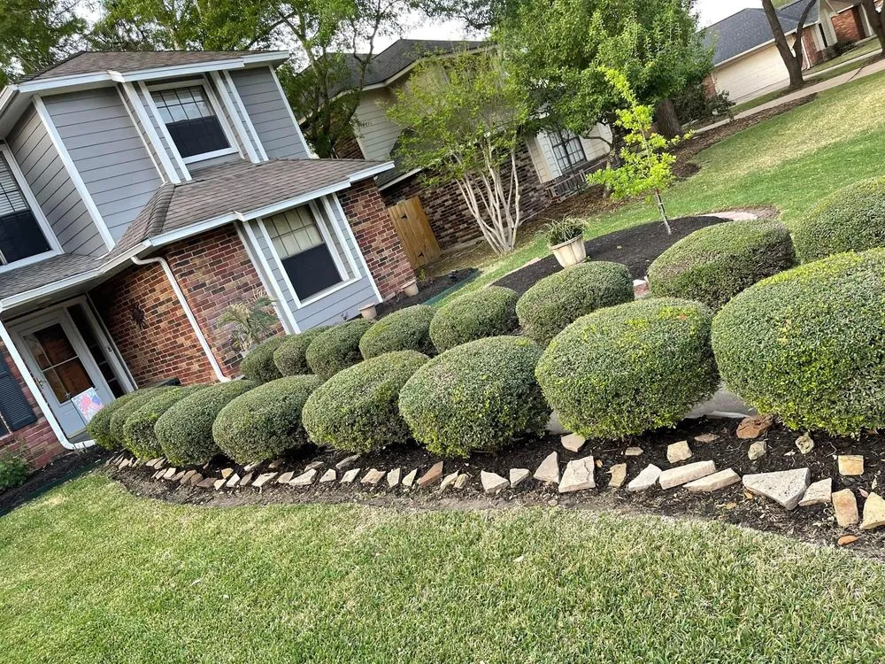 Affordable yard maintenance in Houston, TX by MD Lawn Care Services