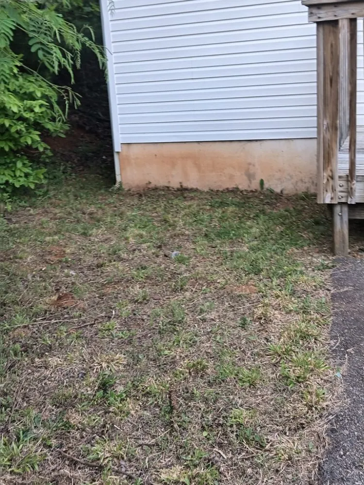 Trusted landscape design in Weaverville, NC - MD Lawn Care