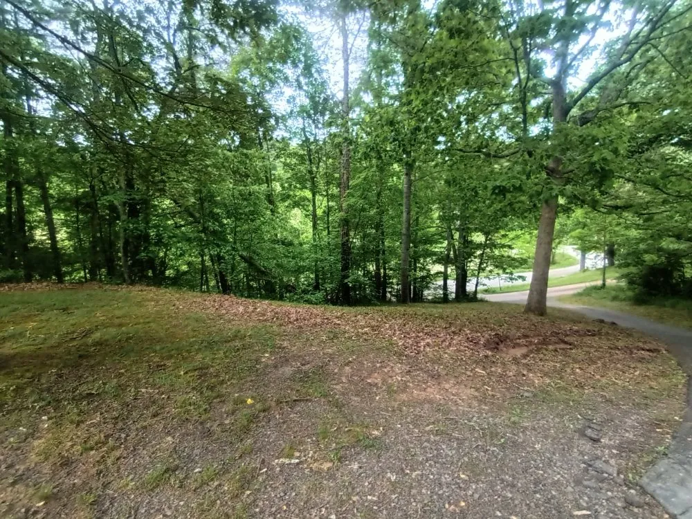 Affordable yard cleanup service in Weaverville, NC by MD Lawn Care