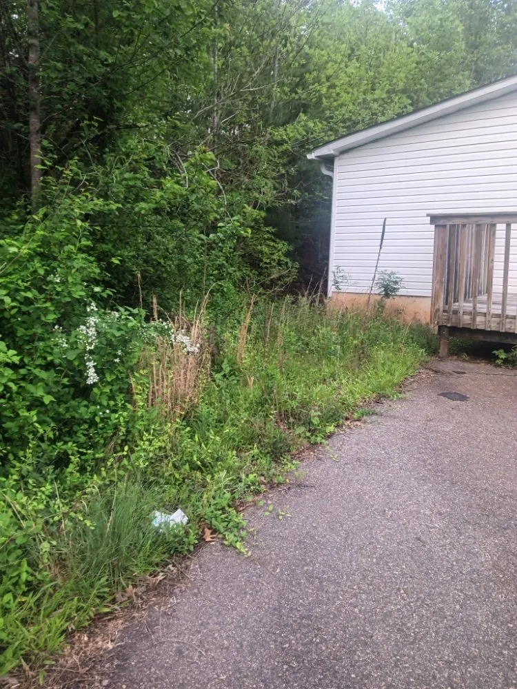 Top-rated lawn care service experts serving Weaverville, NC - MD Lawn Care