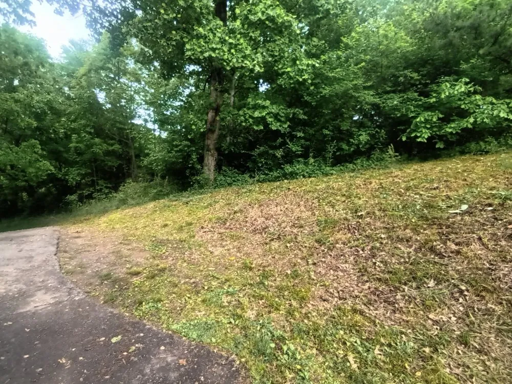 Affordable landscape installation for residential properties in Weaverville, NC by MD Lawn Care