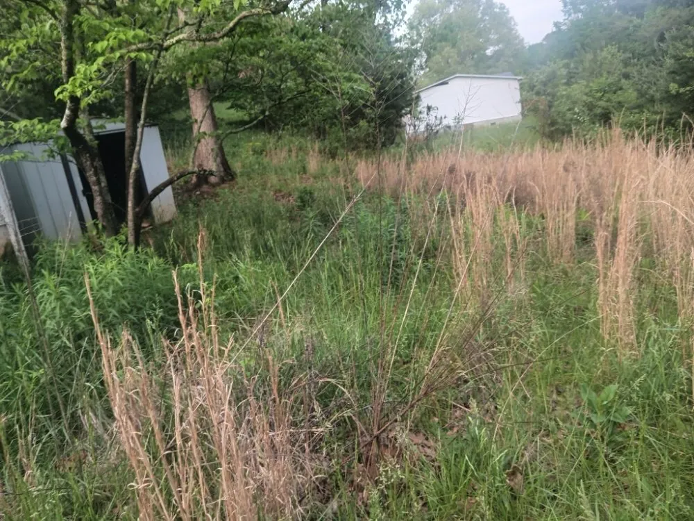 Expert landscaping services in Weaverville, NC by MD Lawn Care