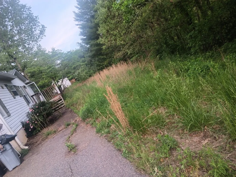 Reliable landscape installation in Weaverville, NC - MD Lawn Care