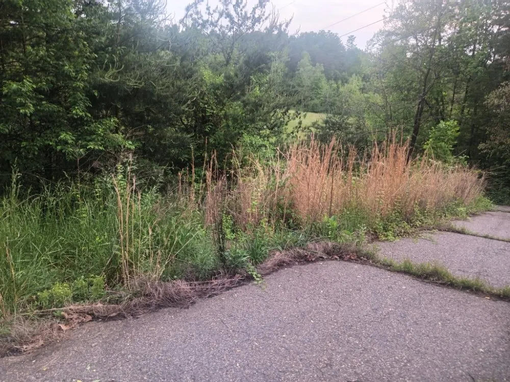 Top-rated residential landscaping in Weaverville, NC - MD Lawn Care