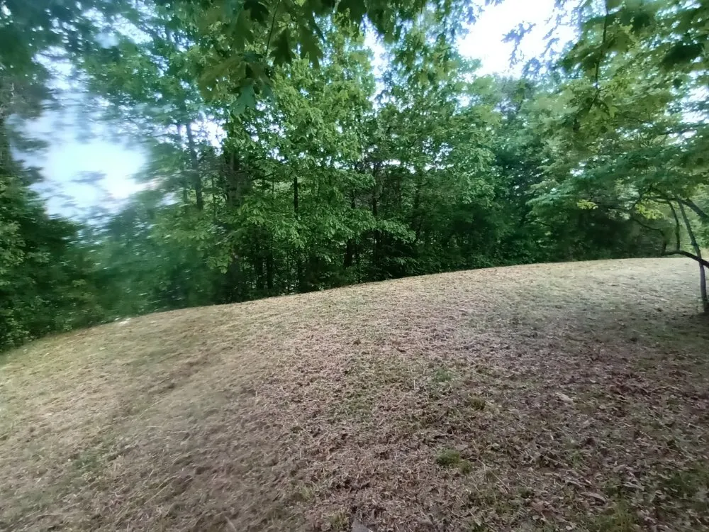 Top-rated landscaping services in Weaverville, NC - MD Lawn Care