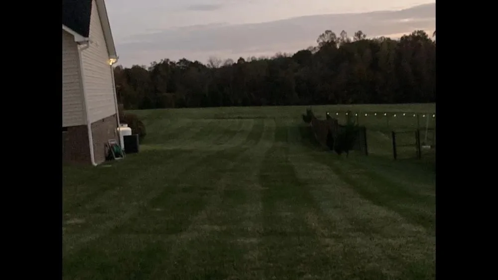 Reliable lawn care service experts serving Randleman, NC - MD Lawn Service