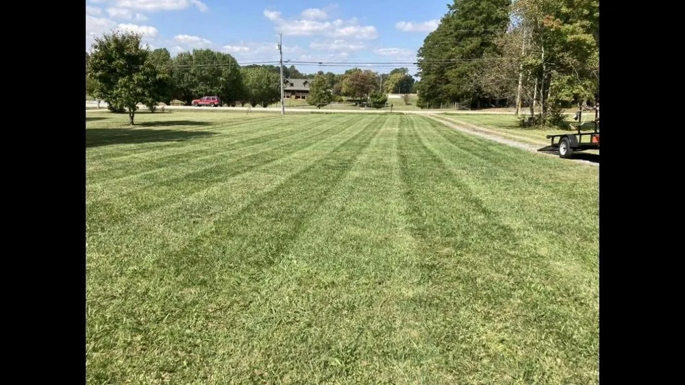 Expert landscaping services for year-round maintenance in Randleman, NC by MD Lawn Service
