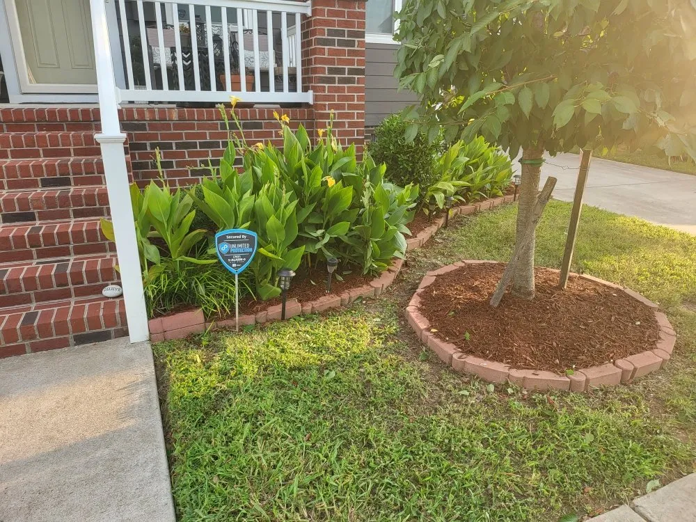 Top-rated outdoor landscaping for beautiful yards across Suffolk, VA - M&D Lawncare