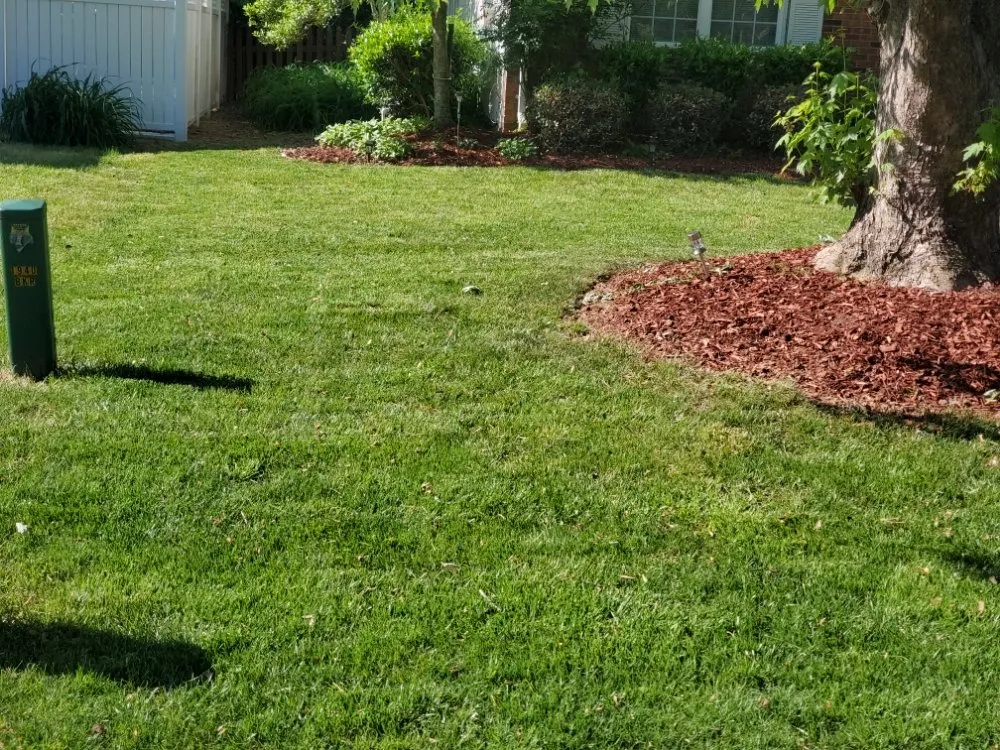 Affordable landscape design for year-round maintenance across Suffolk, VA - M&D Lawncare
