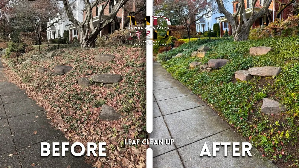 Reliable landscaping services experts serving Hyattsville, MD - MD Lawns & Gardens