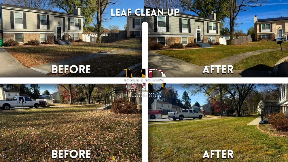 Affordable yard cleanup service experts serving Hyattsville, MD - MD Lawns & Gardens