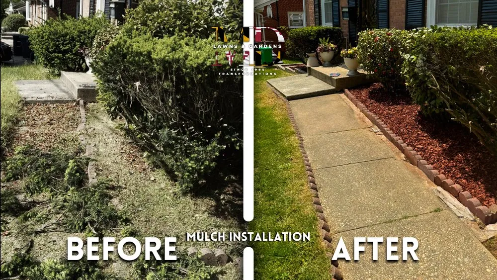 Professional landscape installation near you across Hyattsville, MD - MD Lawns & Gardens
