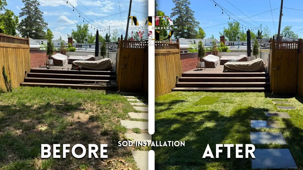 Local outdoor landscaping in Hyattsville, MD by MD Lawns & Gardens