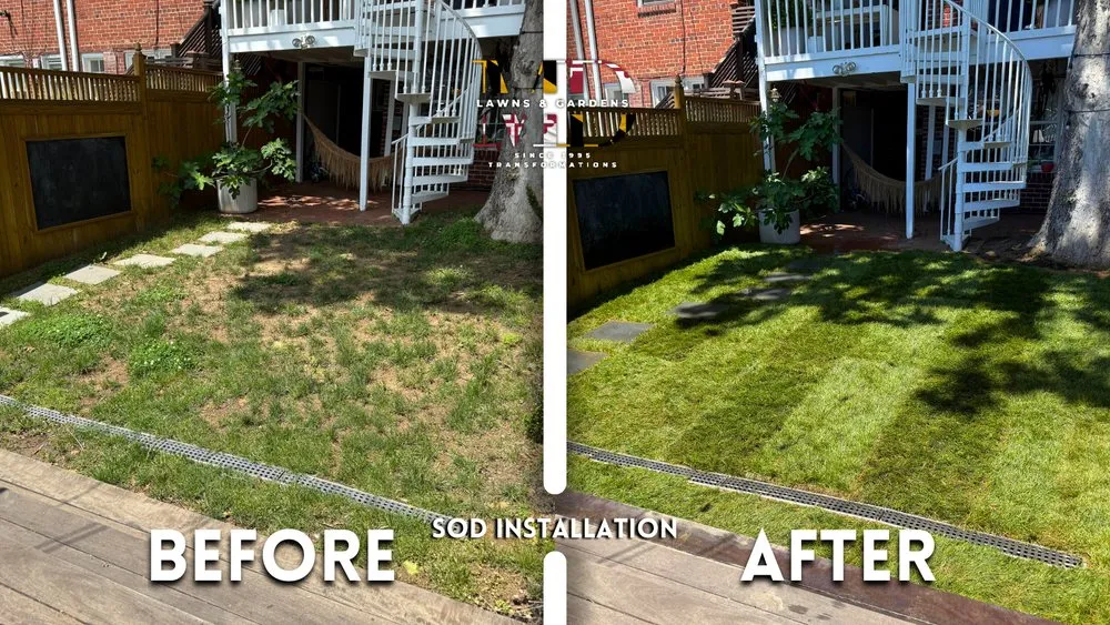 Local lawn care service in Hyattsville, MD by MD Lawns & Gardens