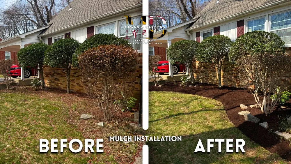 Professional lawn mowing service for outdoor upgrades across Hyattsville, MD - MD Lawns & Gardens