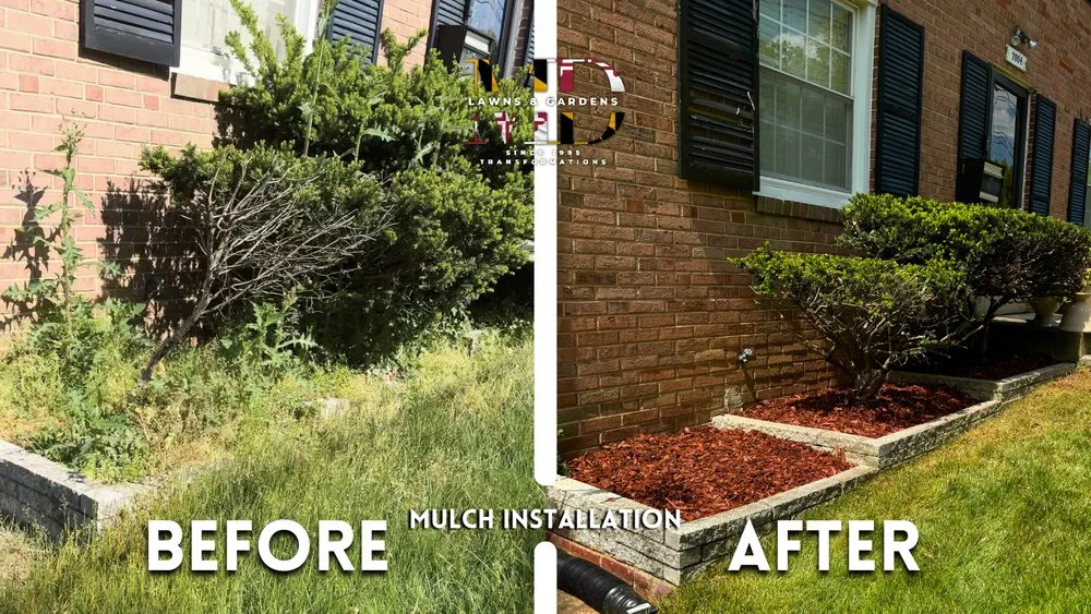 Professional outdoor landscaping in Hyattsville, MD by MD Lawns & Gardens