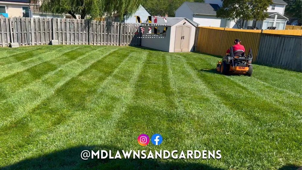Local yard maintenance with custom design in Hyattsville, MD by MD Lawns & Gardens