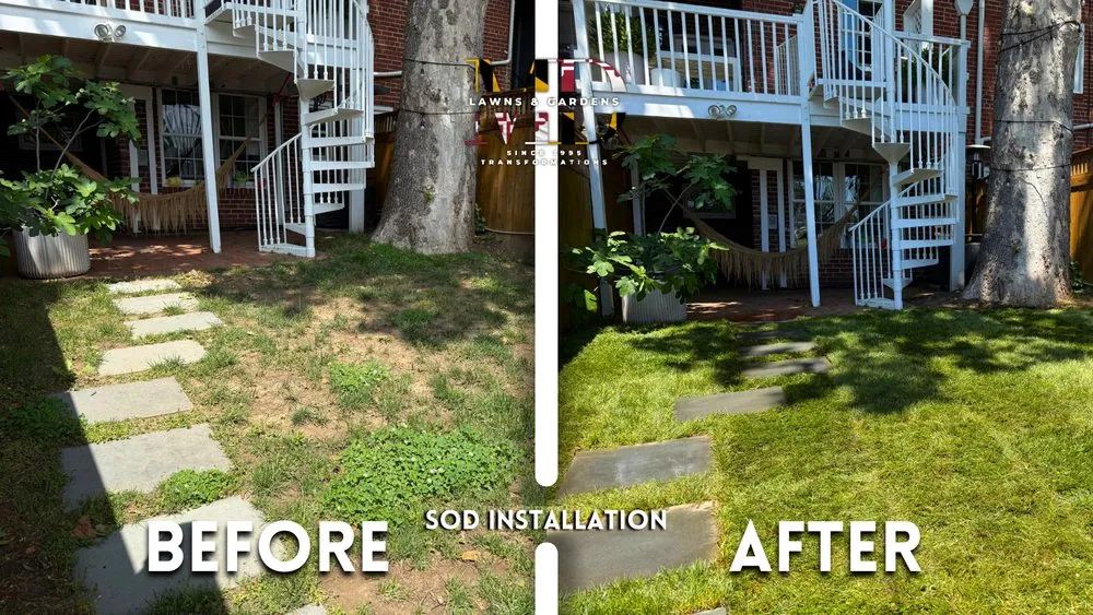 Professional residential landscaping for beautiful yards in Hyattsville, MD by MD Lawns & Gardens