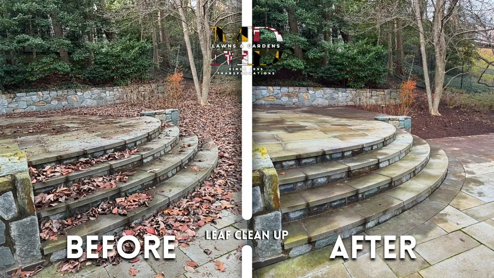 Reliable outdoor landscaping for year-round maintenance in Hyattsville, MD by MD Lawns & Gardens