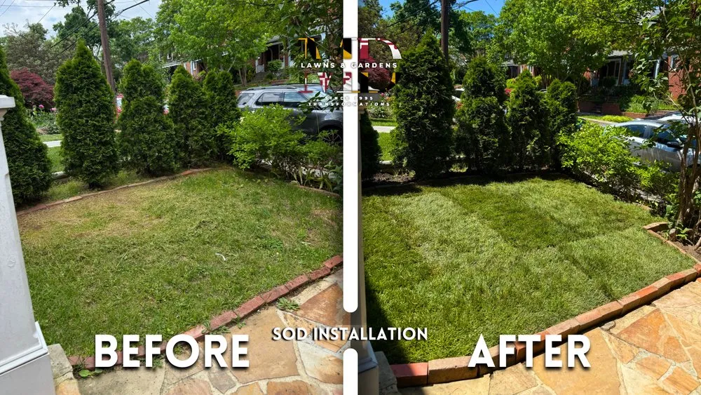 Reliable lawn care service in Hyattsville, MD by MD Lawns & Gardens