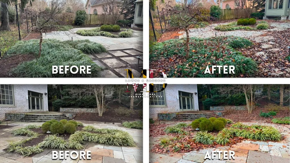 Affordable landscaping services for residential properties across Hyattsville, MD - MD Lawns & Gardens