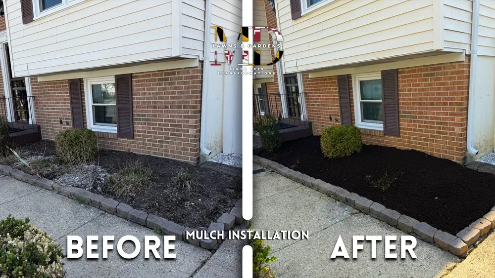 Expert yard maintenance for residential properties in Hyattsville, MD by MD Lawns & Gardens