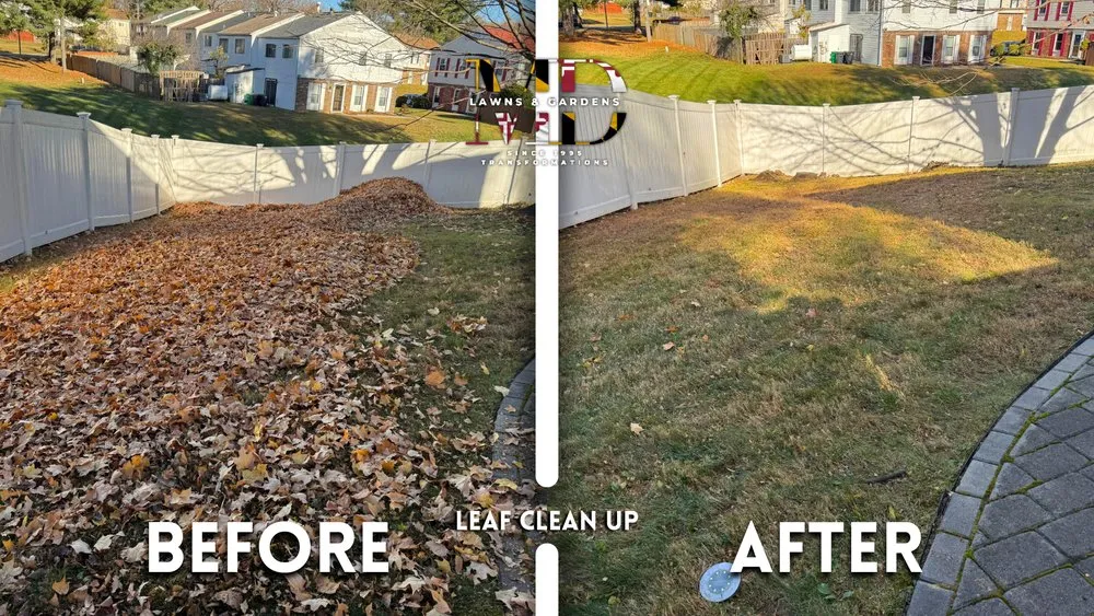 Affordable outdoor landscaping for homes in Hyattsville, MD by MD Lawns & Gardens