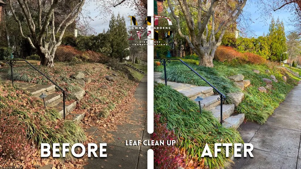 Custom landscape installation near you across Hyattsville, MD - MD Lawns & Gardens