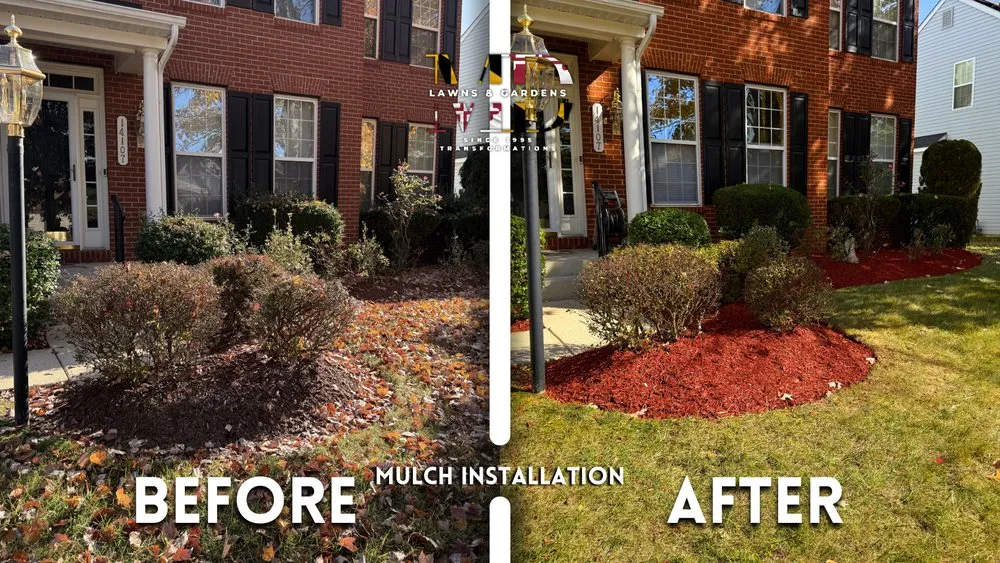 Reliable residential landscaping in Hyattsville, MD - MD Lawns & Gardens