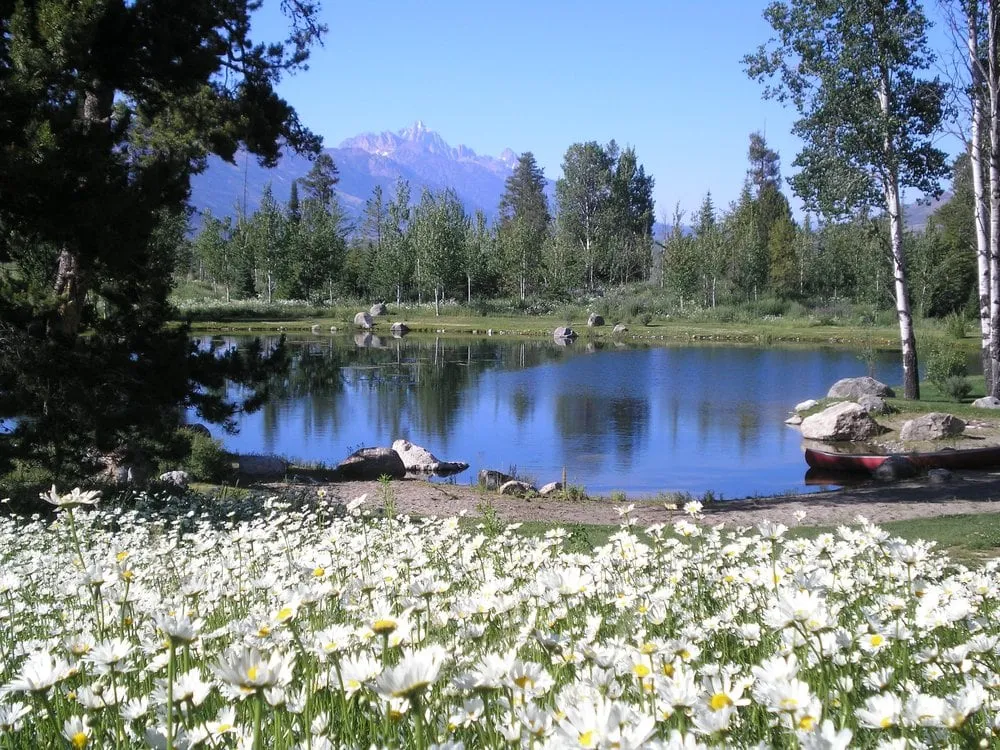 Trusted landscaping services for residential properties across Driggs, ID - MD Nursery & Landscaping