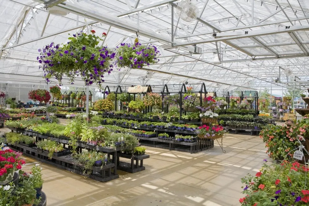 Custom lawn mowing service in Driggs, ID - MD Nursery & Landscaping