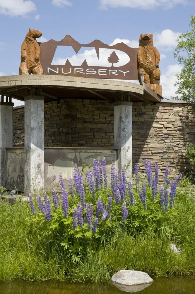 Professional yard maintenance in Driggs, ID - MD Nursery & Landscaping