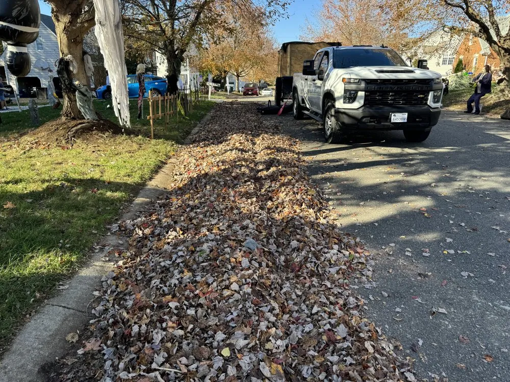 Custom garden landscaping in Petersburg, VA - MD Operations