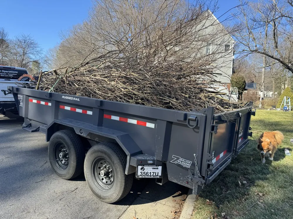 Expert yard cleanup service in Petersburg, VA - MD Operations