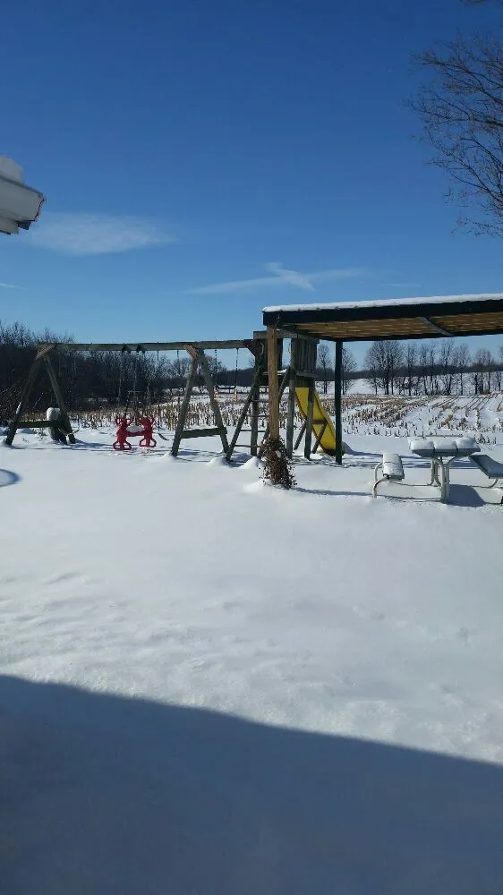 Affordable yard maintenance in Coldwater, MI by M&D Outdoor services