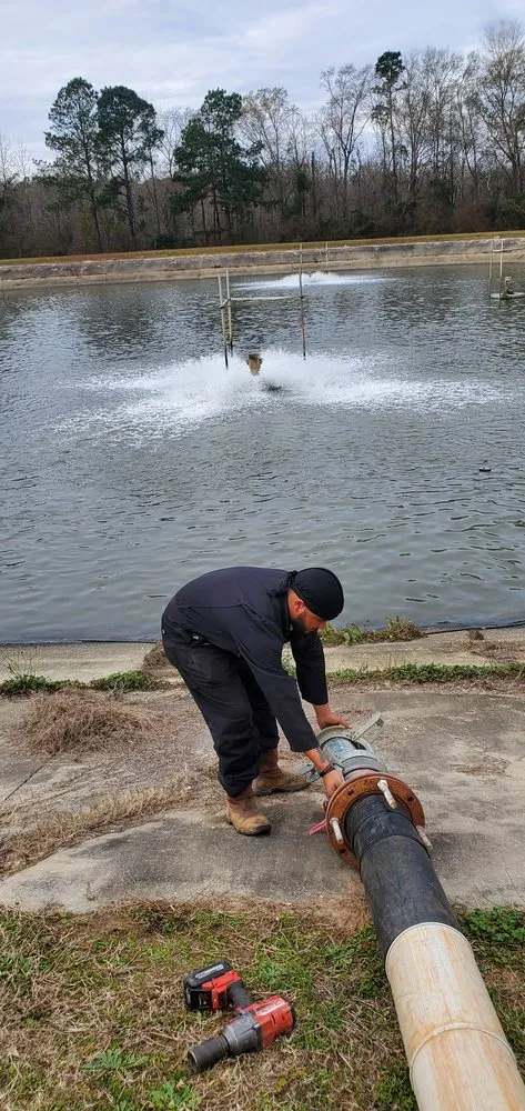 Professional outdoor landscaping in Stone Mountain, GA - MD Property Preservation Debris Removal