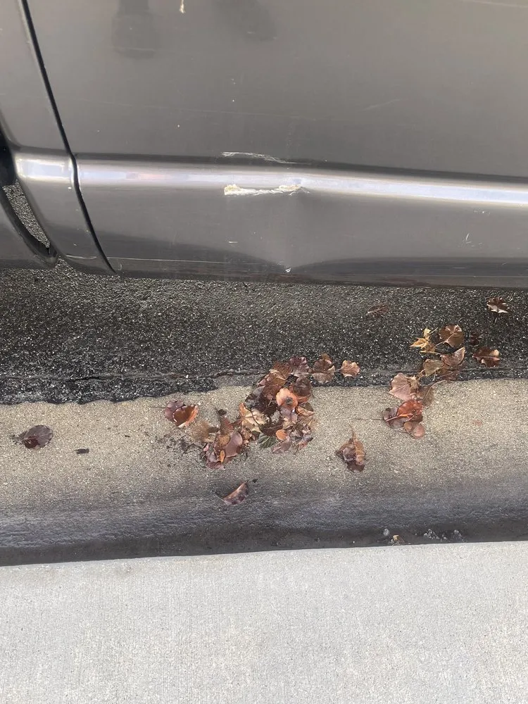 Expert outdoor landscaping in American Fork, UT - MD Property Services