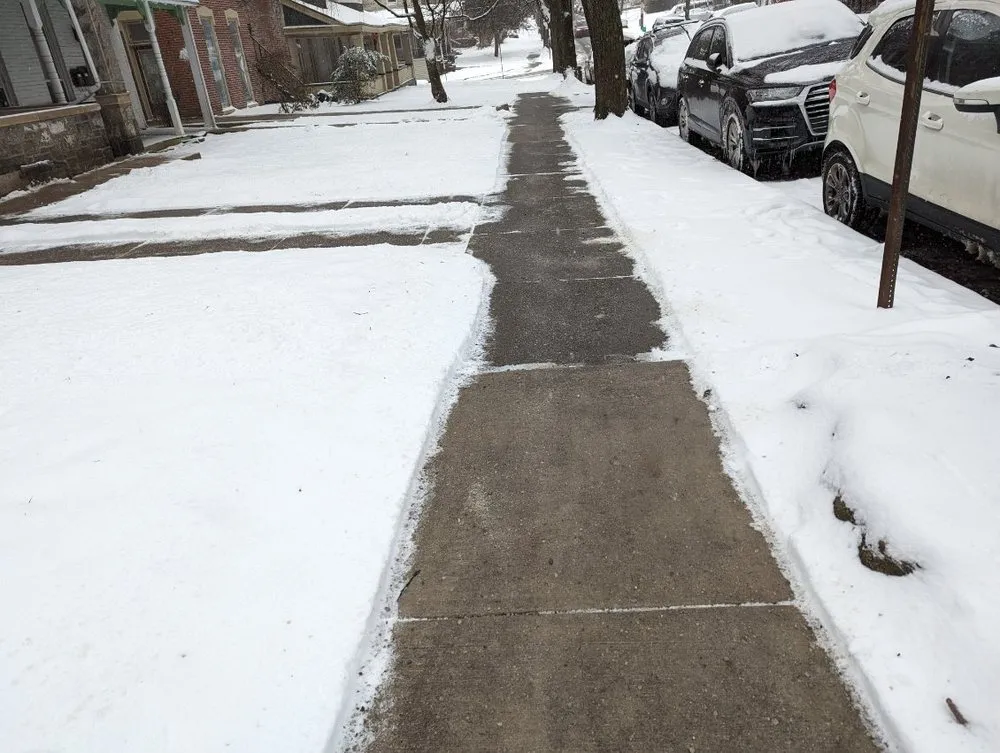 Local yard cleanup service in Allentown, PA by Md Rosario Lawn Care