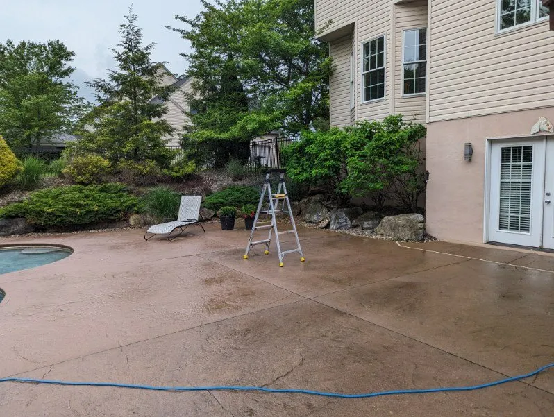 Professional yard cleanup service for beautiful yards in Allentown, PA by Md Rosario Lawn Care