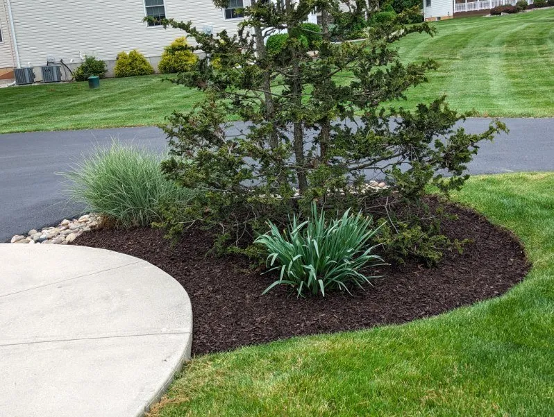 Top-rated yard cleanup service near you in Allentown, PA by Md Rosario Lawn Care
