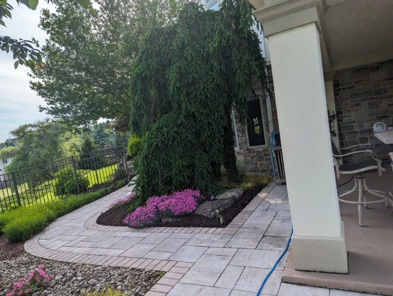 Professional yard cleanup service in Allentown, PA - Md Rosario Lawn Care