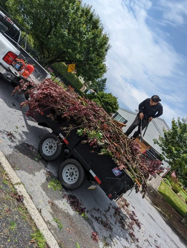 Custom landscaping services in Allentown, PA - Md Rosario Lawn Care