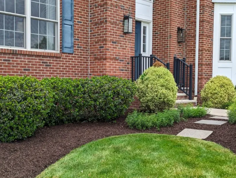 Trusted garden landscaping in Allentown, PA by Md Rosario Lawn Care