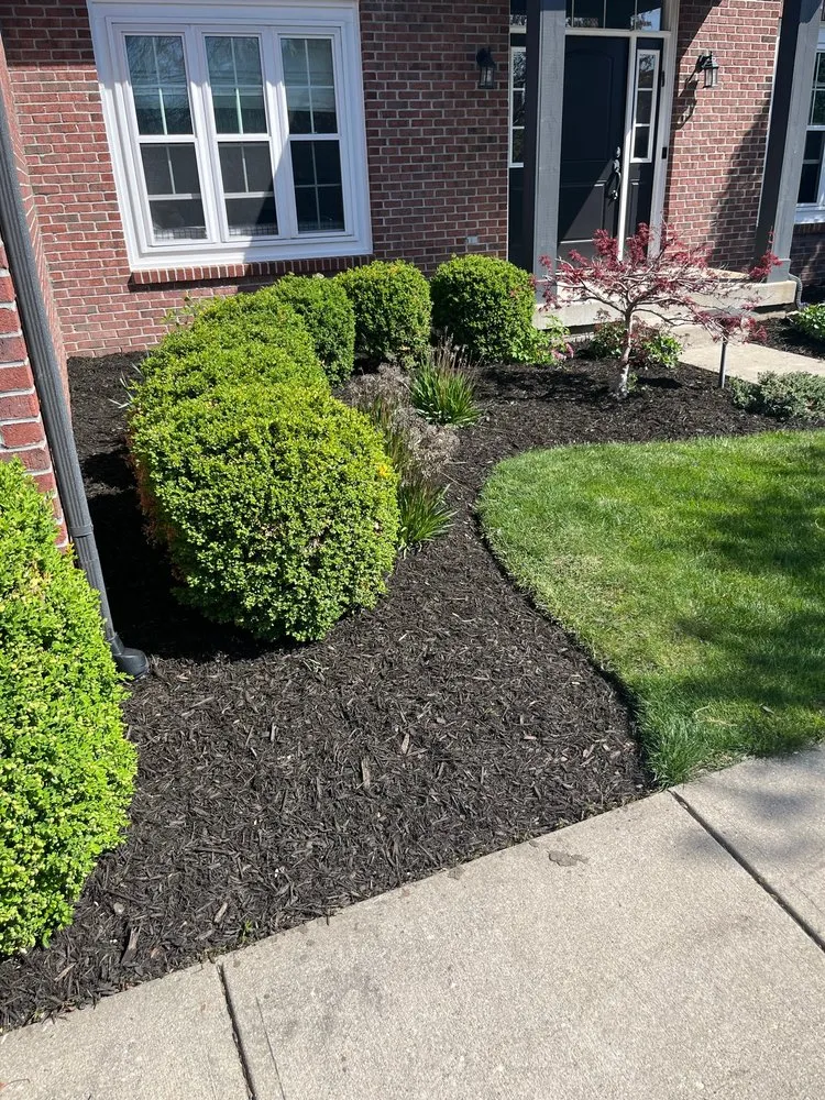 Affordable outdoor landscaping in Indianapolis, IN by MD Scapes