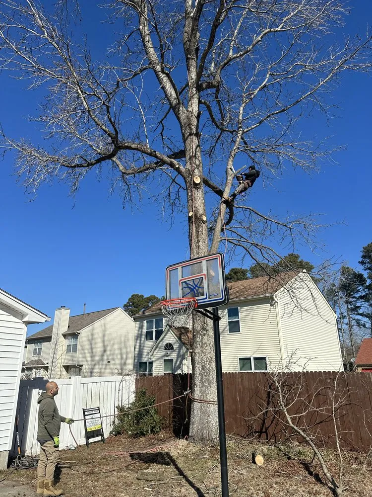 Affordable outdoor landscaping in Henrico, VA by MD Tree Service