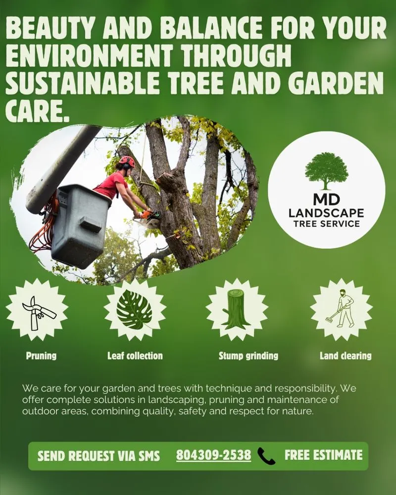 Custom yard maintenance for outdoor upgrades in Henrico, VA by MD Tree Service