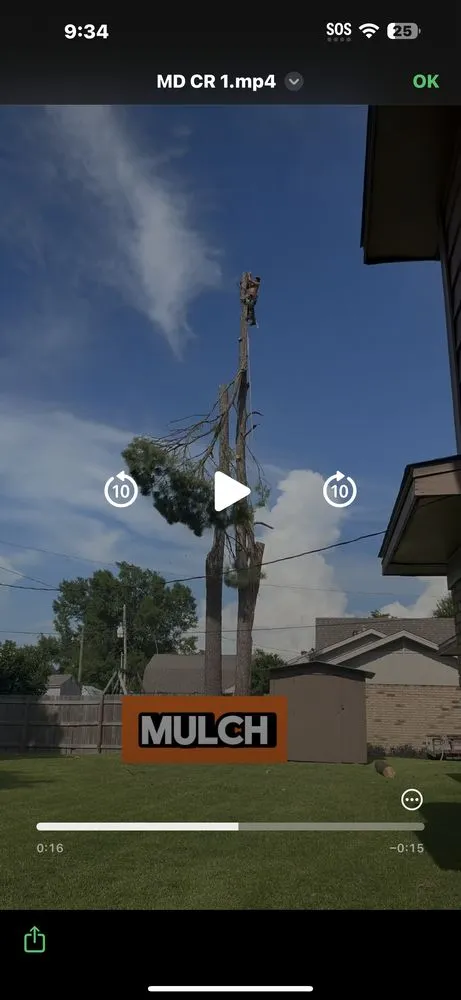 Reliable outdoor landscaping for year-round maintenance across Henrico, VA - MD Tree Service